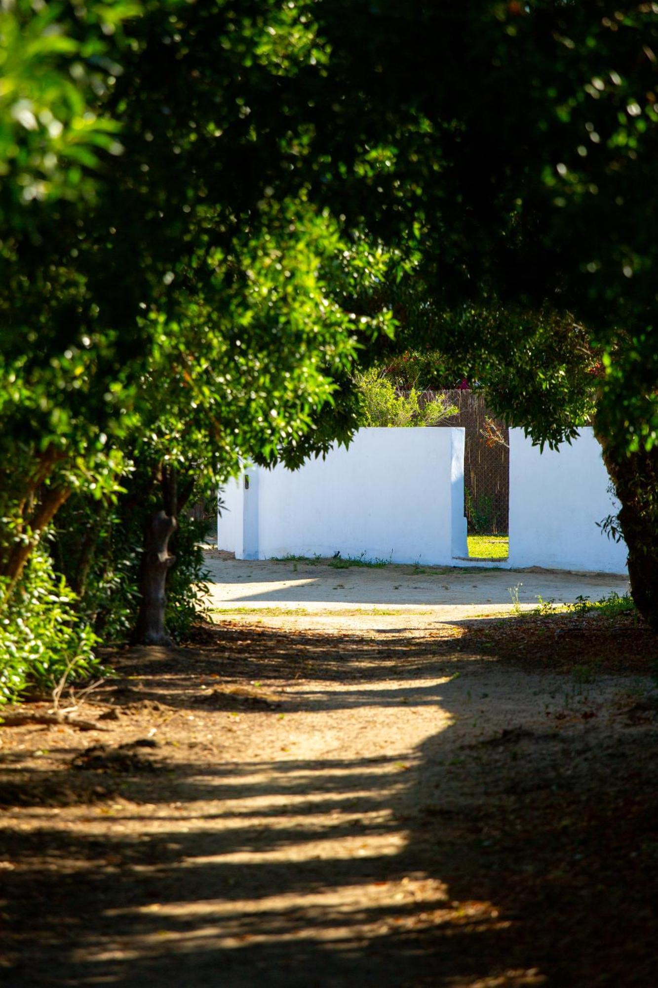 Casara Tres - 2 Dormitorios - Jardin Y Acceso Privado A La Playa Zahora Exterior photo